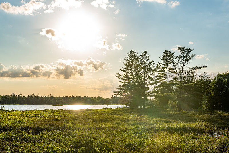 Muskoka Torrance Barrens暗天保护区和高地池塘，Gravenhurst，加拿大